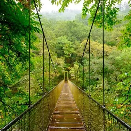 A Pie De Playa En * Mino