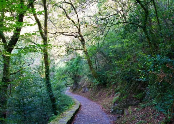 アパート A Pie De Playa En *