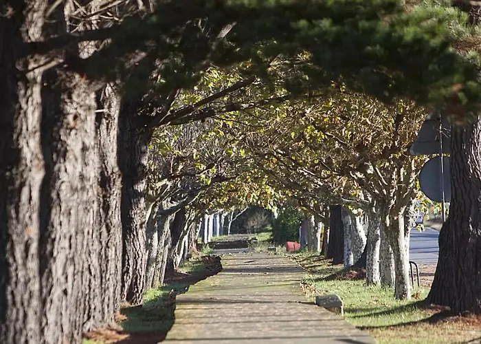 A Pie De Playa En アパート *